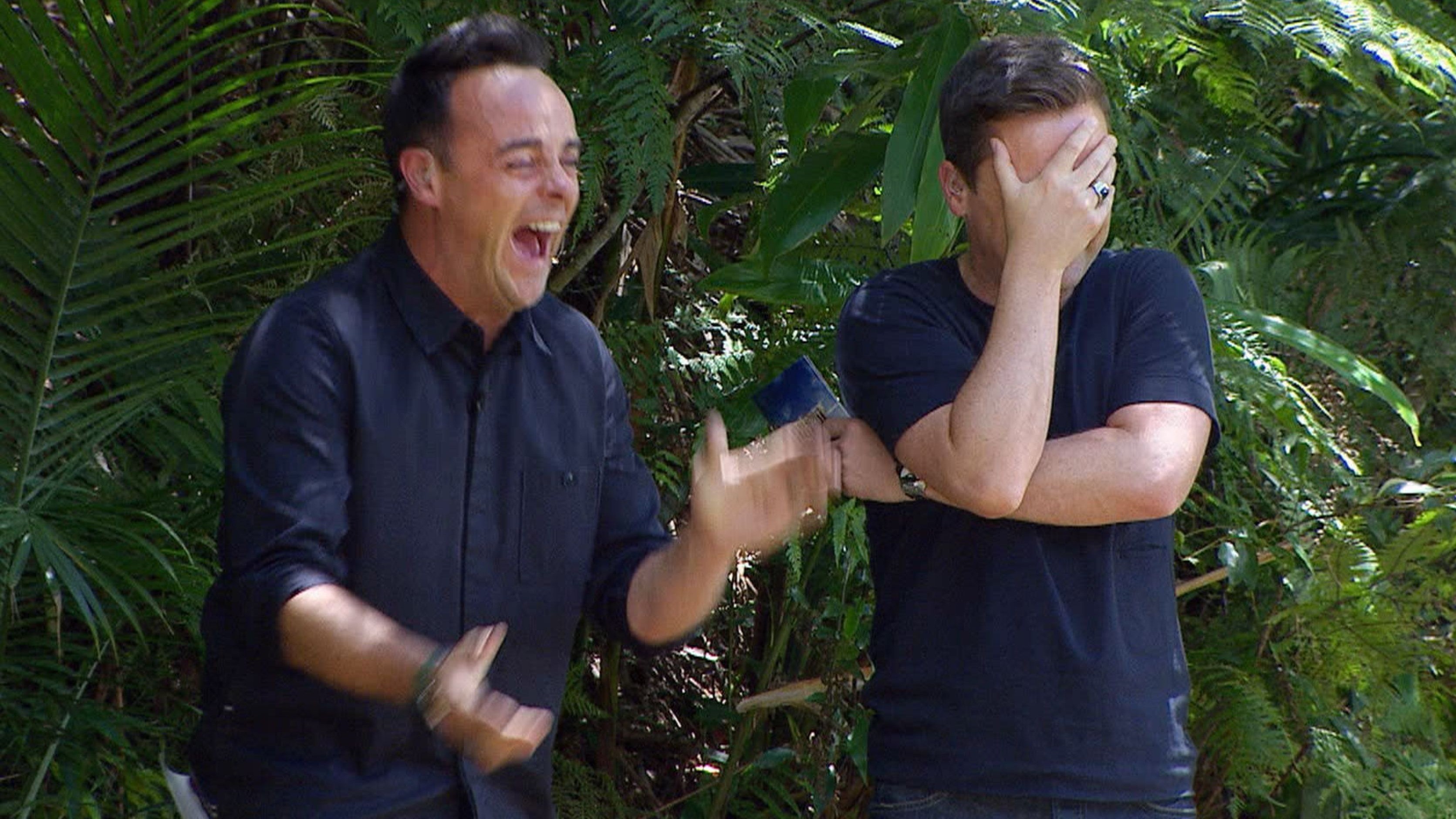 Ant and Dec's best bits I'm A Celebrity Get Me Out Of Here