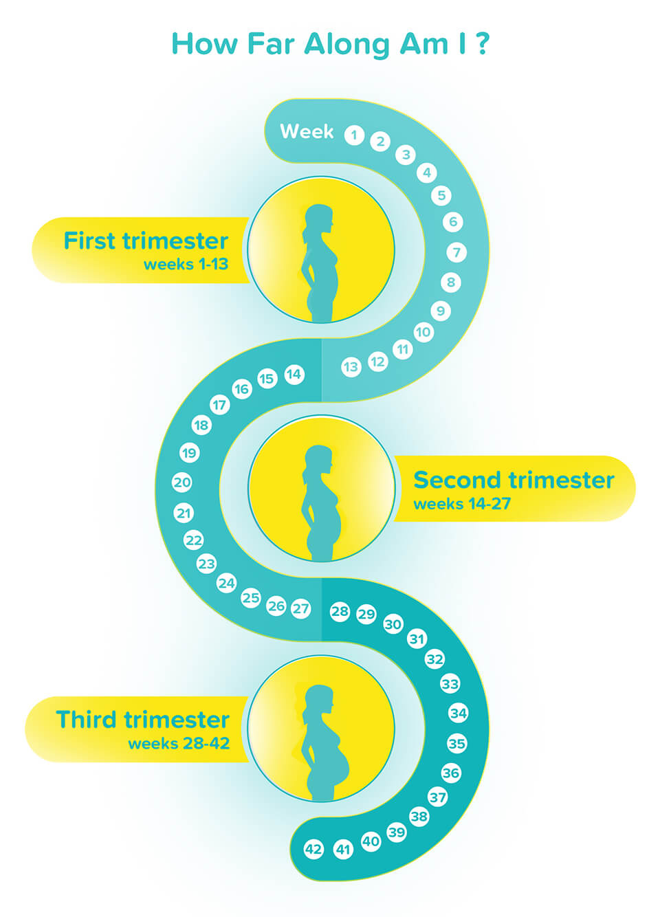 13 Weeks Early Signs and Symptoms of Pregnancy Pampers