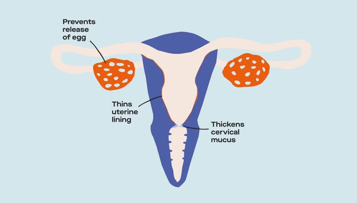 How Does Birth Control Impact Ovulation and Conception? Ro