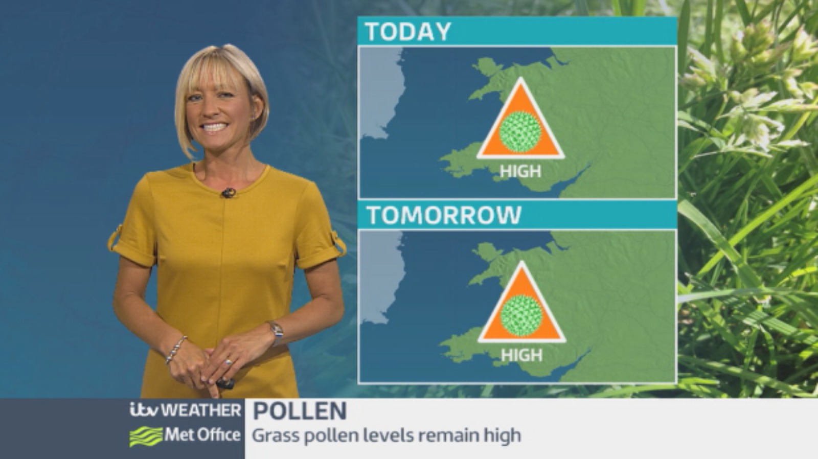 Pollen count Grass pollen remains high ITV News Wales