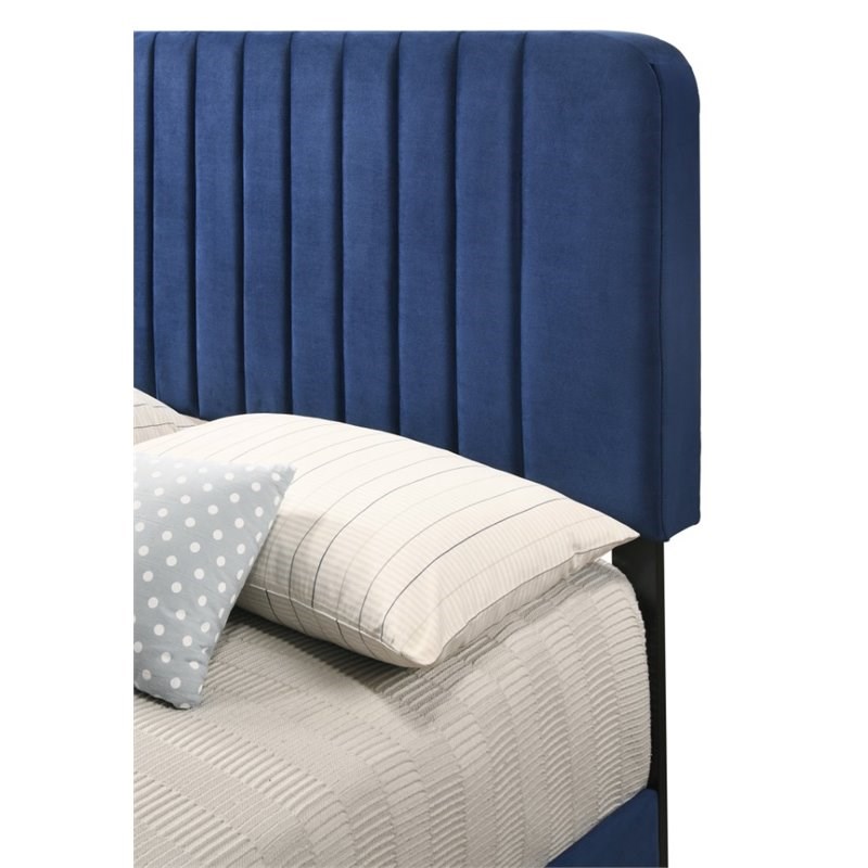 Glory Furniture Lodi Velvet Upholstered Queen Bed in Navy Blue Homesquare