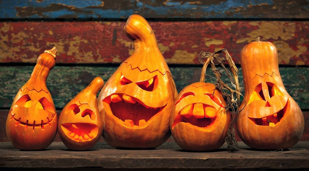Here's how to get rid of your leftover pumpkins this Halloween News