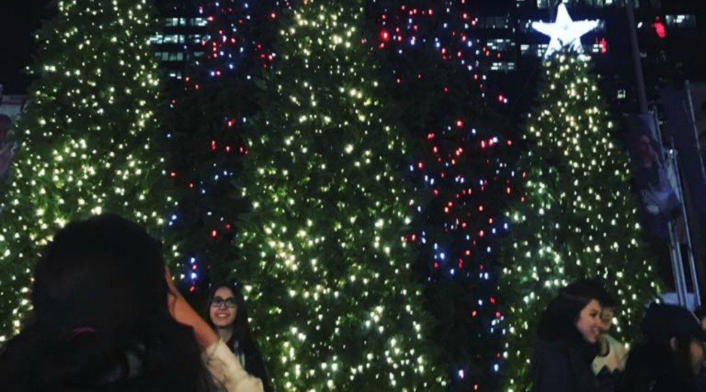 13 photos of the 2016 Vancouver Christmas Tree Lighting illuminating