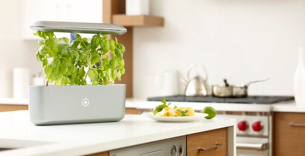 Vancouverbased smart garden startup raises 2.6 million for retail
