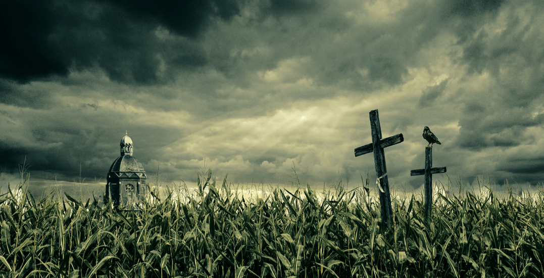 Field of Screams returns with 4 haunted houses next week Daily Hive Calgary