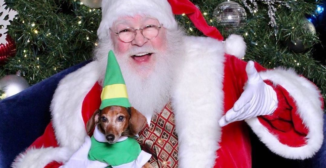 10 places to get pet photos taken with Santa Claus near Vancouver Listed