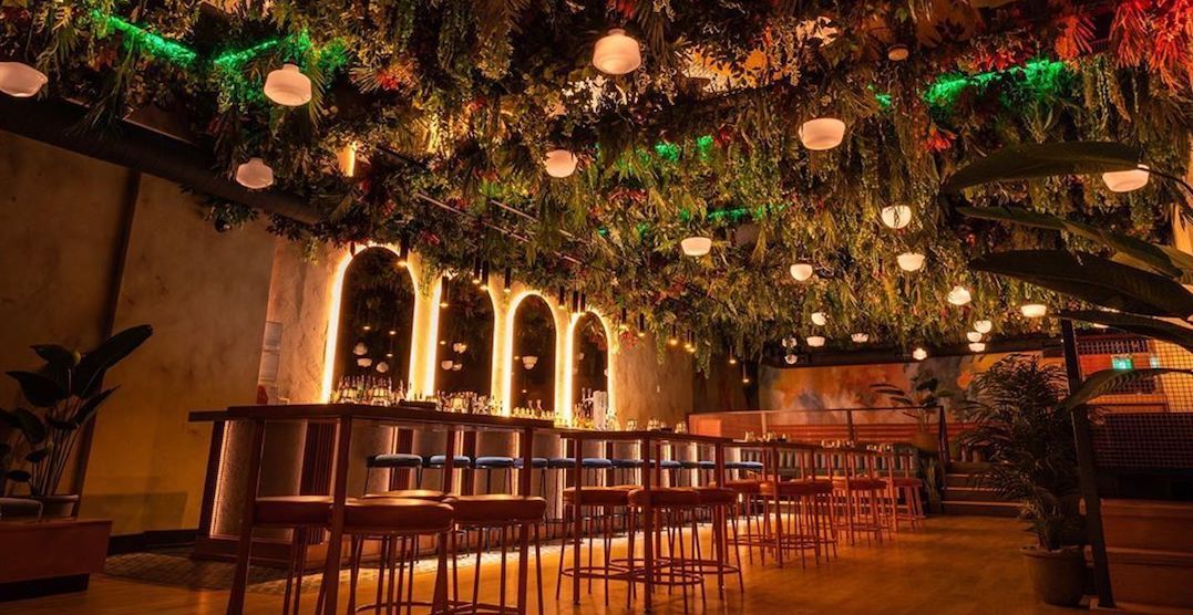 These cozy Toronto bars will save you from the cold this winter Dished