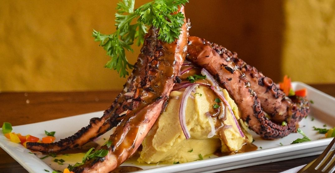 8 best restaurants to get Greek cuisine in Toronto Dished