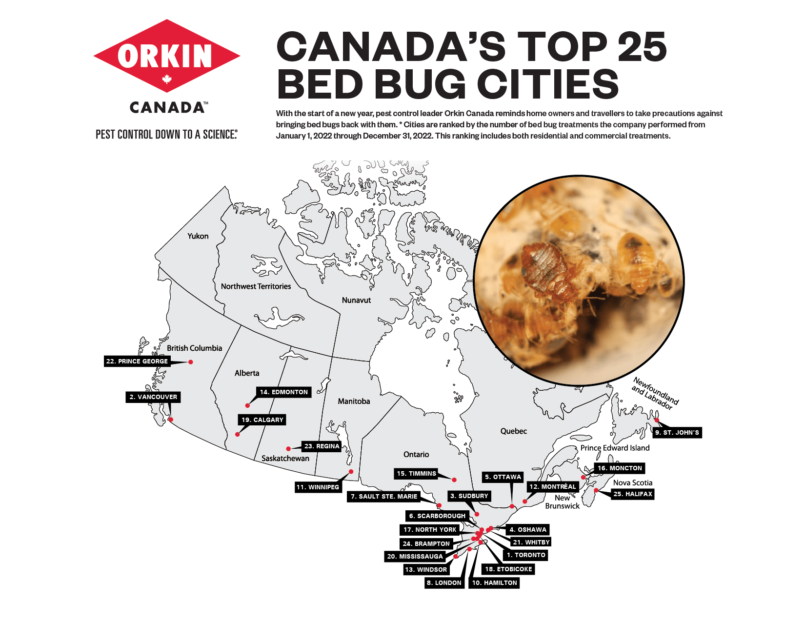 Gross! This Canadian city has the worst bed bug infestations Canada