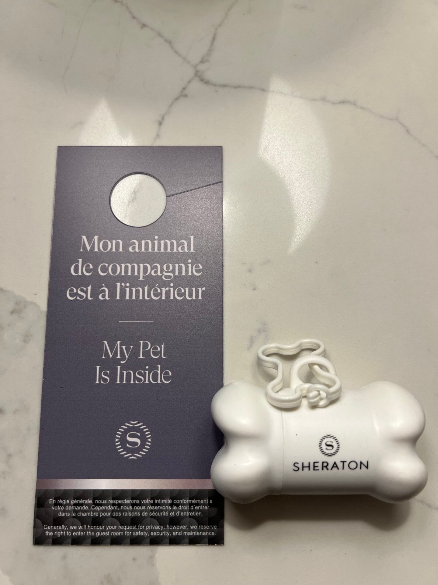 Pets, perks, and puck drops Montreal's modernized Sheraton has it all