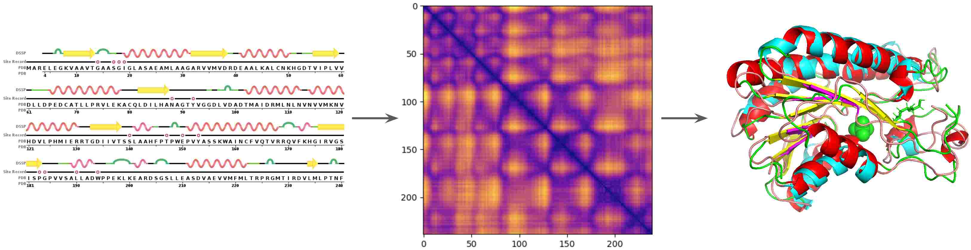 Accurate Protein Structure Prediction by Embeddings and Deep Learning