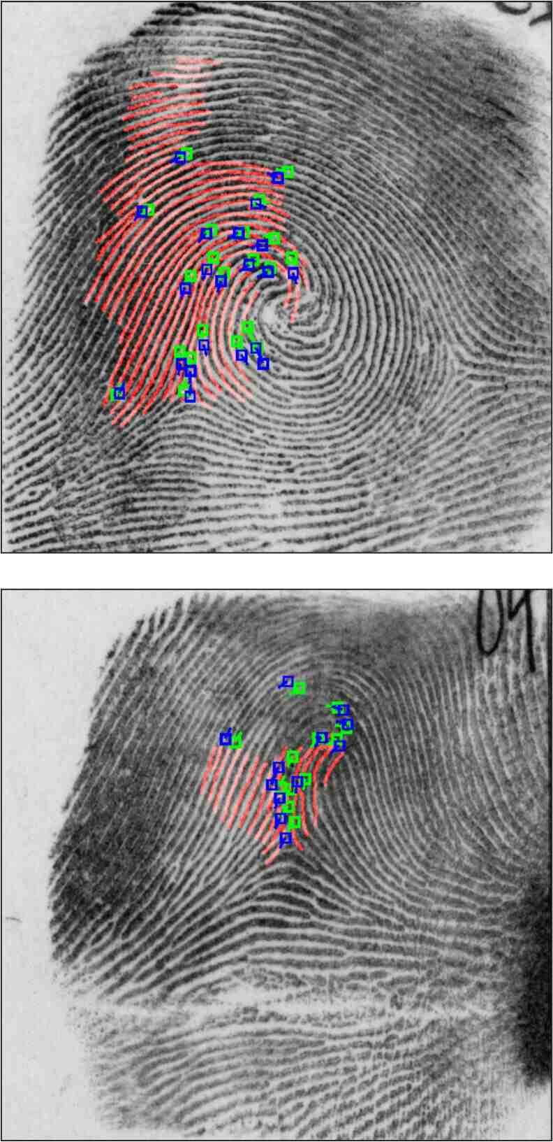 Latent Fingerprint Registration via Matching Densely Sampled Points