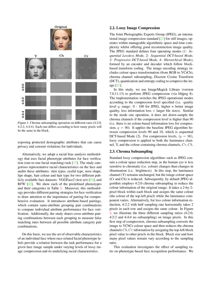 Does lossy image compression affect racial bias within face recognition