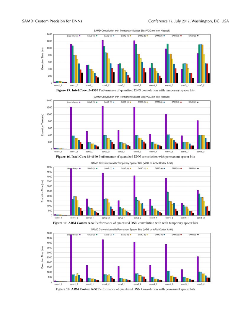 Scalar Arithmetic Multiple Data Customizable Precision for Deep Neural