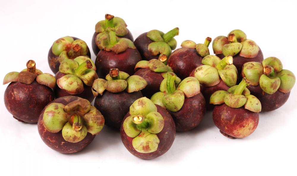 Can Dogs Eat Mangosteen Fruit
