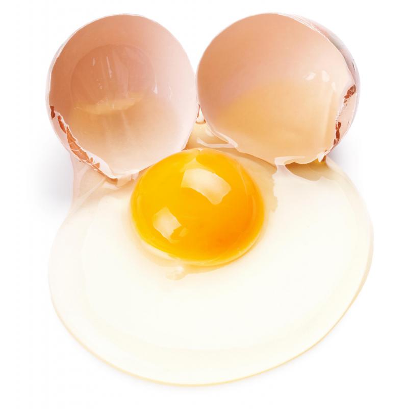 What is Albumen? (with pictures)