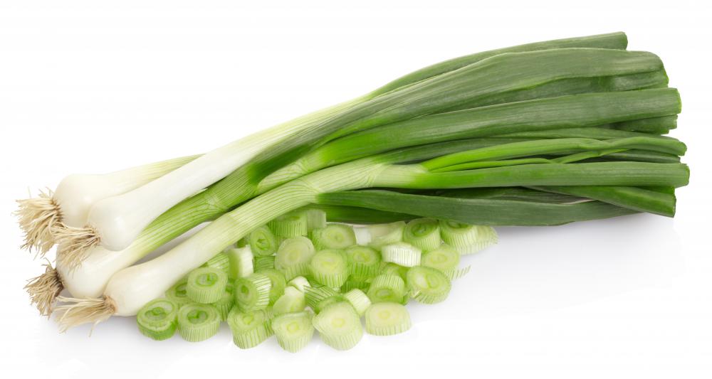 What are Spring Onions? (with pictures)