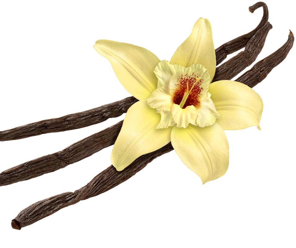 What Is Mexican Vanilla? (with pictures)