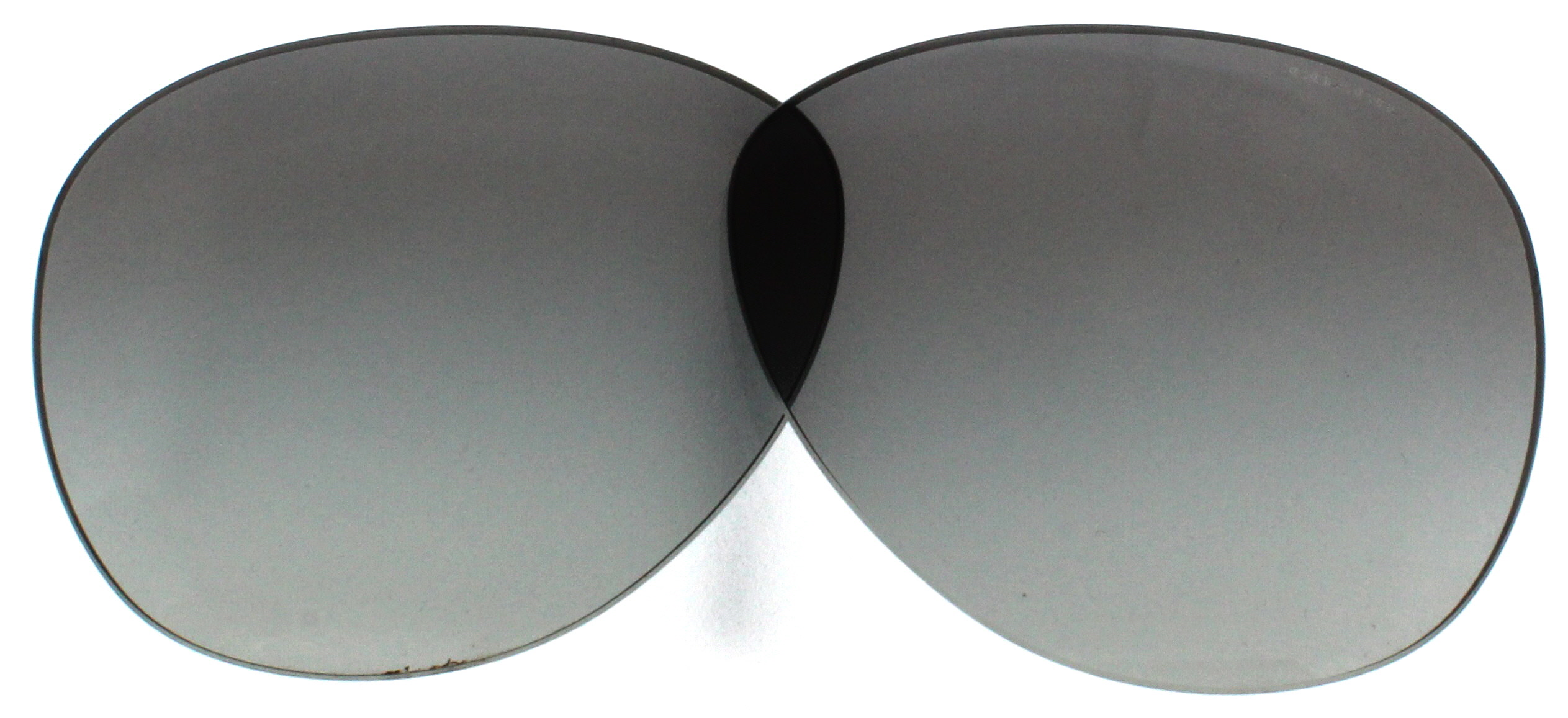 COACH Replacement Lenses HC7069 Grey 60MM eBay