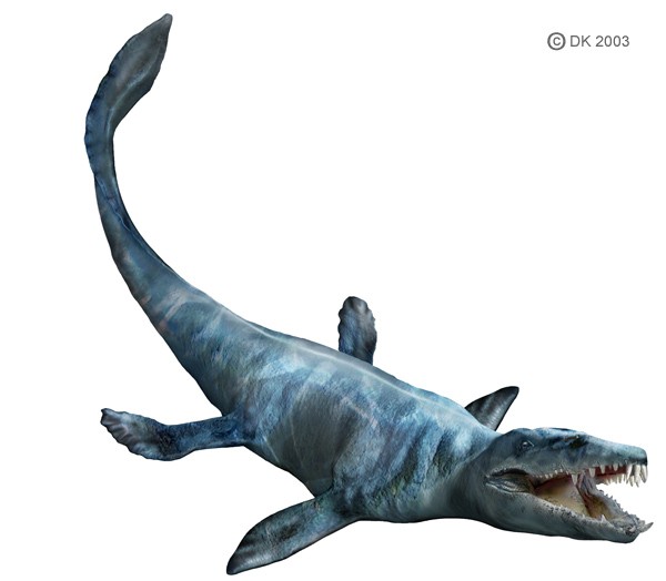 Mosasaurus Pictures & Facts The Dinosaur Database