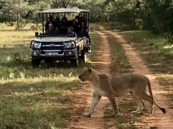 41 Collette Tours Reviews