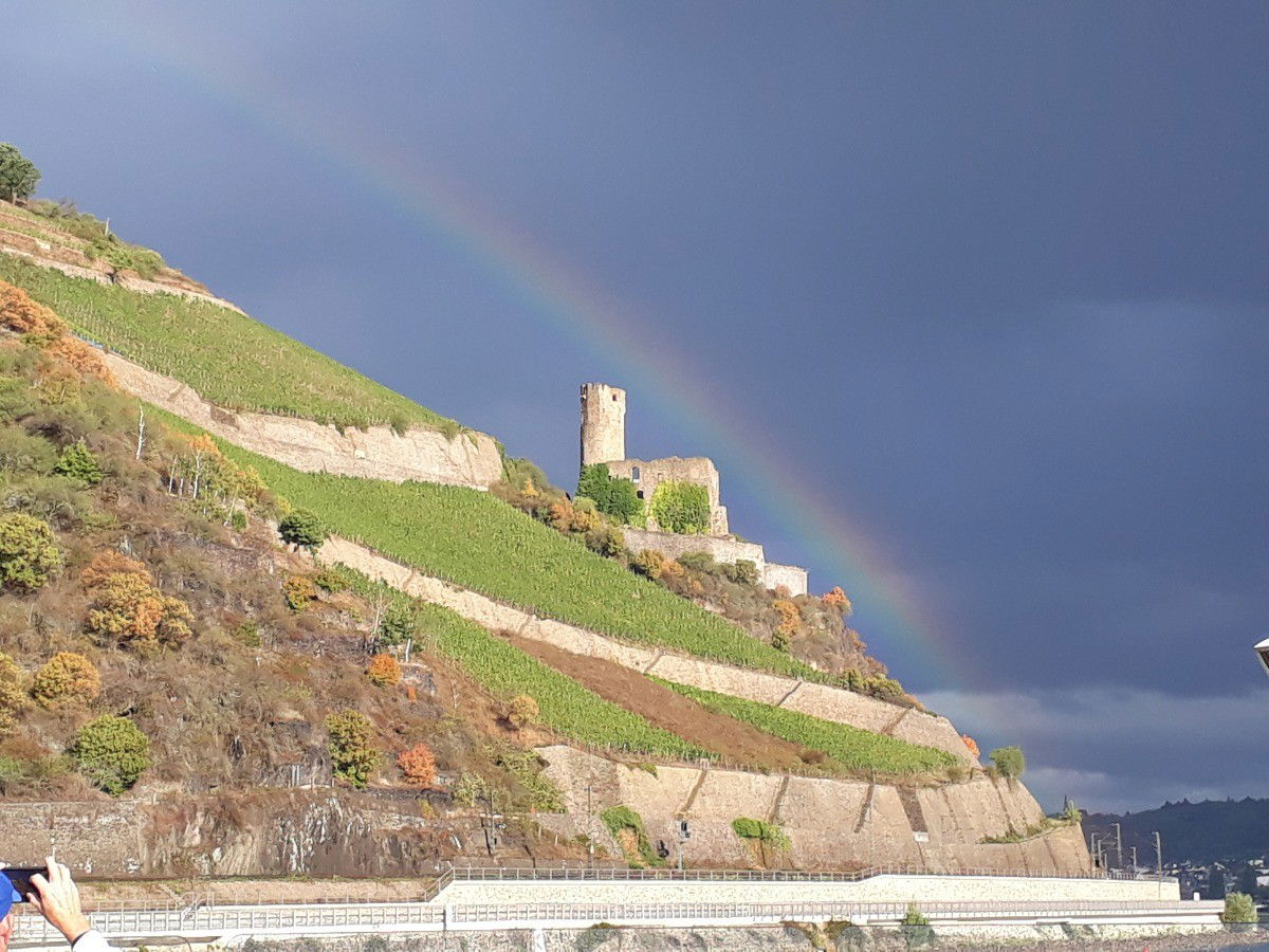 Viking Ve Reviews, Deckplans & Cruise Schedule Viking