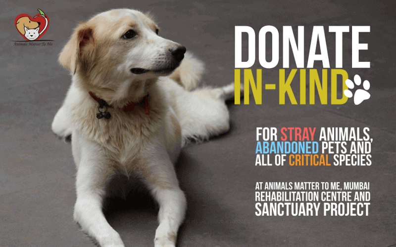 Animals Matter To Me, Rehabilitation Centre and Tatva Sanctuary