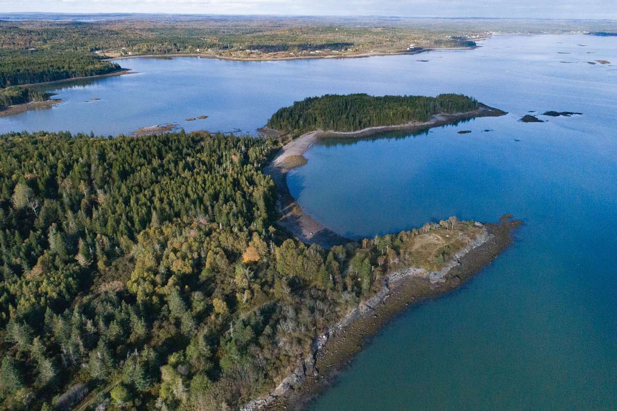 5 UndertheRadar Maine Preserves to Hike This Summer Down East