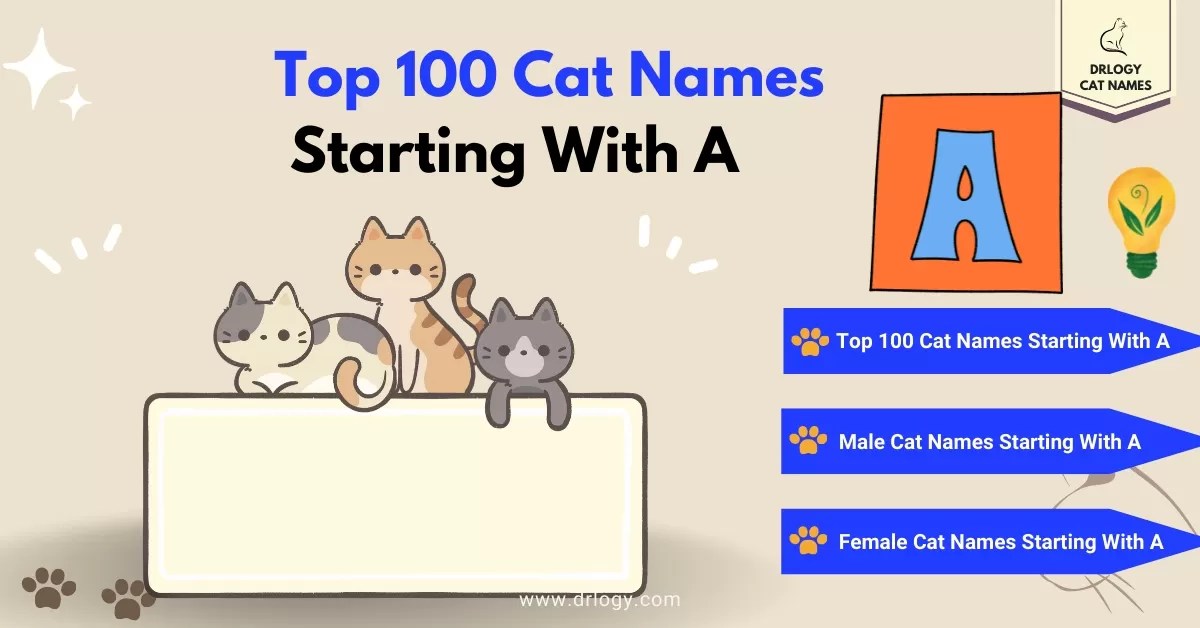 Top 100 Cat Names Starting With A Meaning Drlogy Cat Names