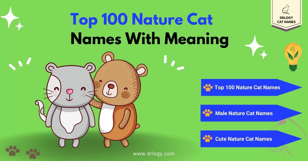 111 Best Nature Cat Names With Meaning Drlogy Cat Names