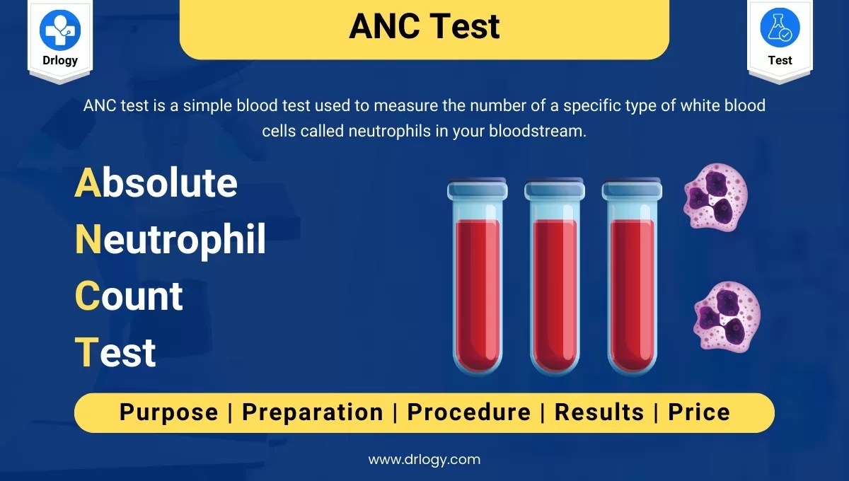 Absolute Neutrophil Count (ANC) Test: Price and Normal Range - Drlogy