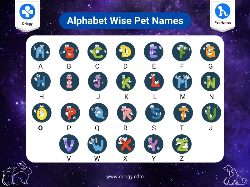 Girl Names Starting With V 2023 Drlogy