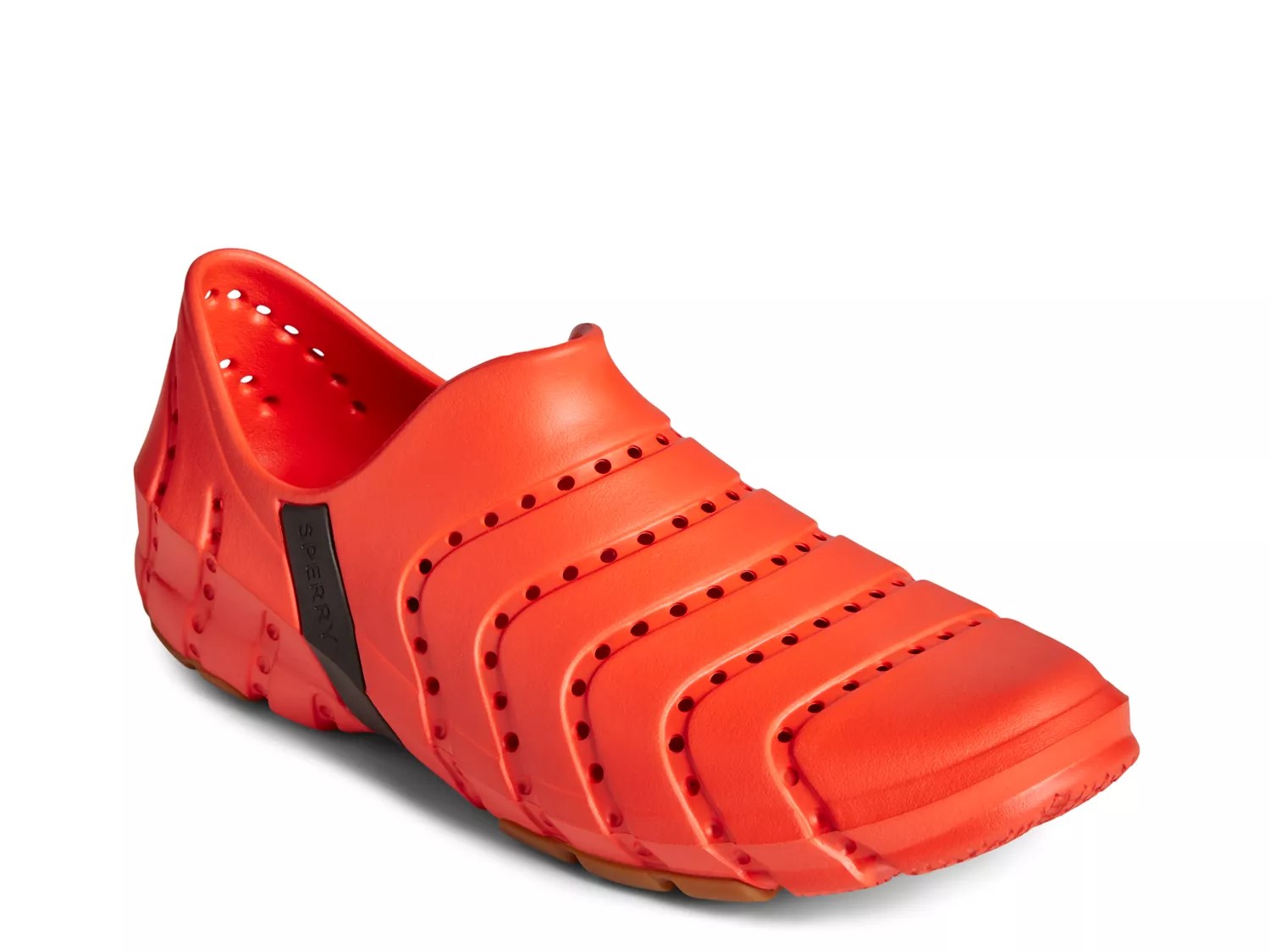 Sperry Water Strider Water Shoe Free Shipping DSW