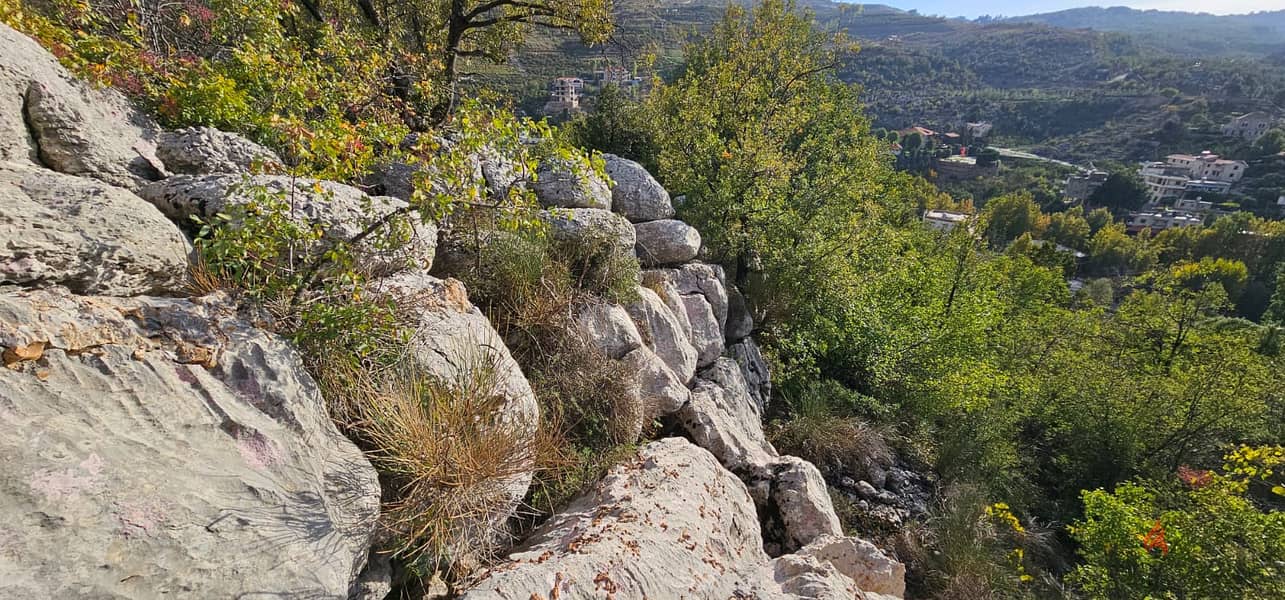 RWK223GZ Land For Sale in Faraya Lands for Sale 115604931