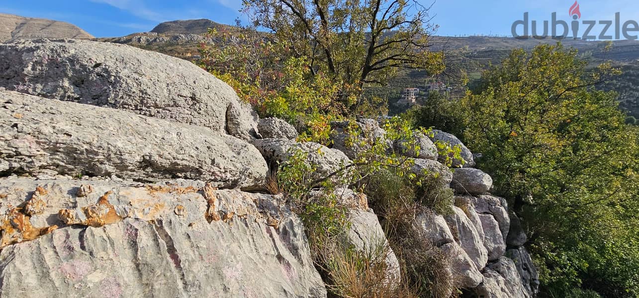 RWK223GZ Land For Sale in Faraya Lands for Sale 115604931