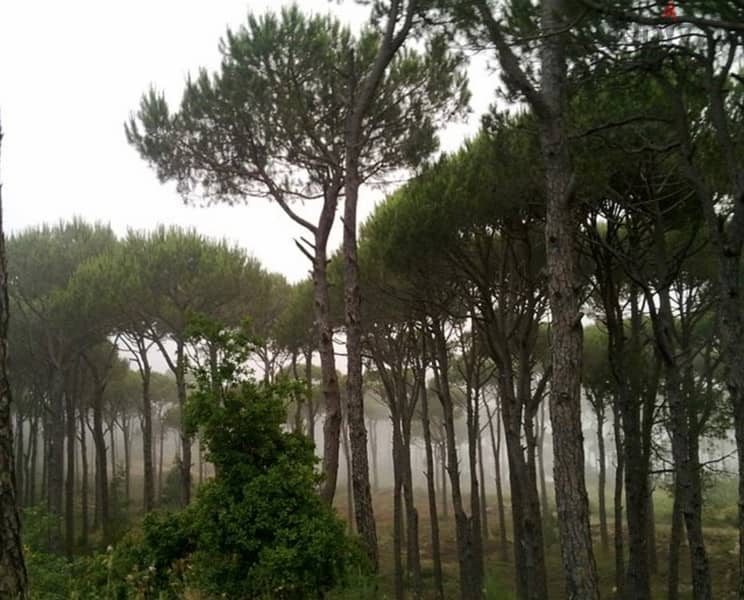 70/SQ LAND IN RAS EL METN 900SQ , RAS1000 Lands for Sale 115610043