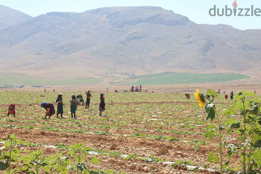 Bekaa Land for Sale أرض زراعية للبيع حوش مصرايا, البقاع Lands for