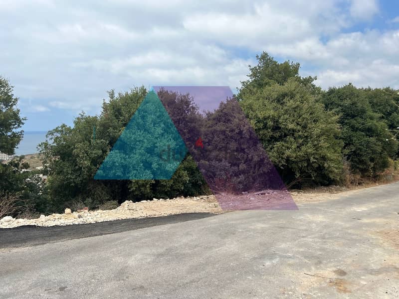 800m2 land+sea view for sale in Berbara أرض + إطلالة للبيع في البربارة