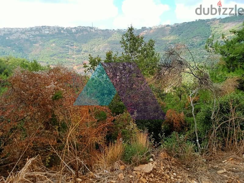 Land + open sea view for sale 8 min from MonteVerde carting. (Quortada