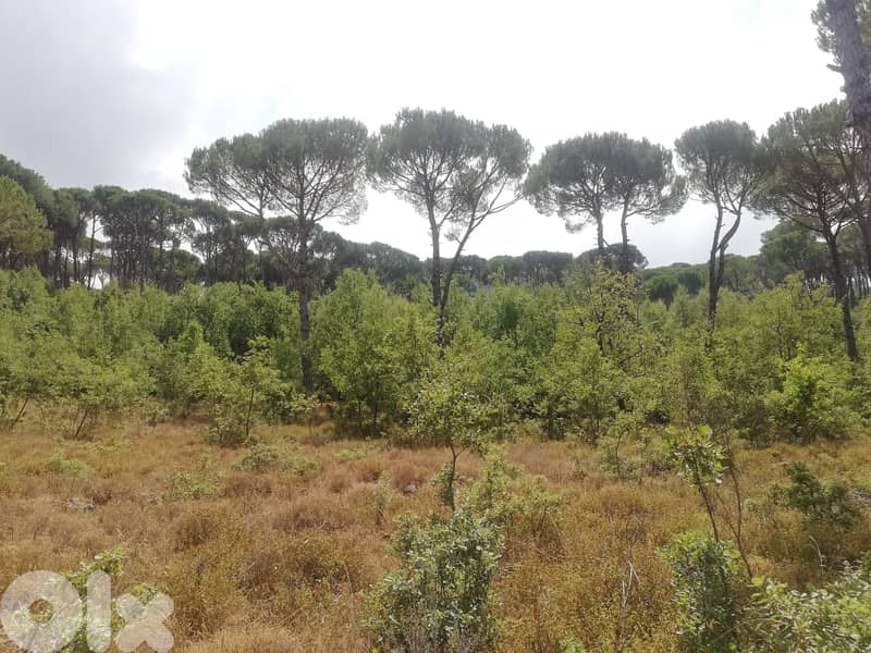 L08226Land for Sale in Bzebdine Lands for Sale 115706681