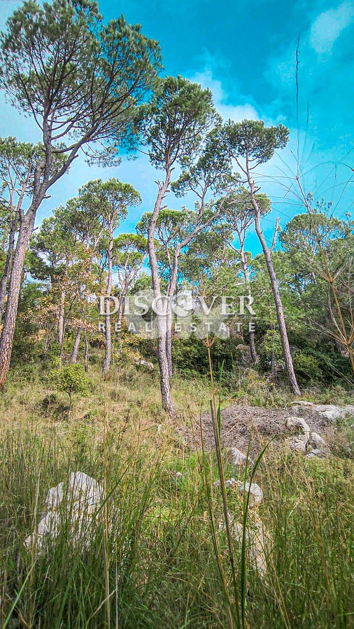 Elegance at its peak Land for sale in Shalimar ( chalimar ) Lands