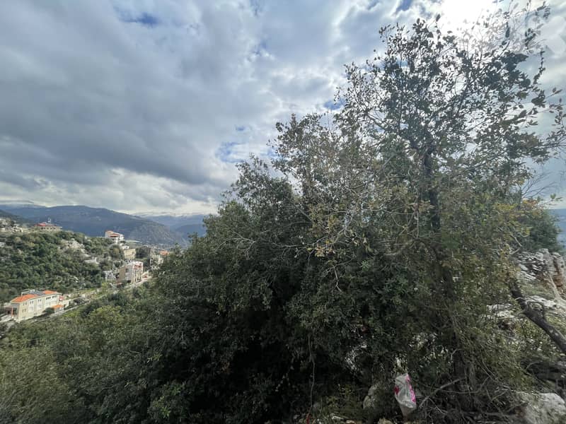 RWK227JS Land For Sale In Ajaltoun ارض للبيع في عجلتون Lands for