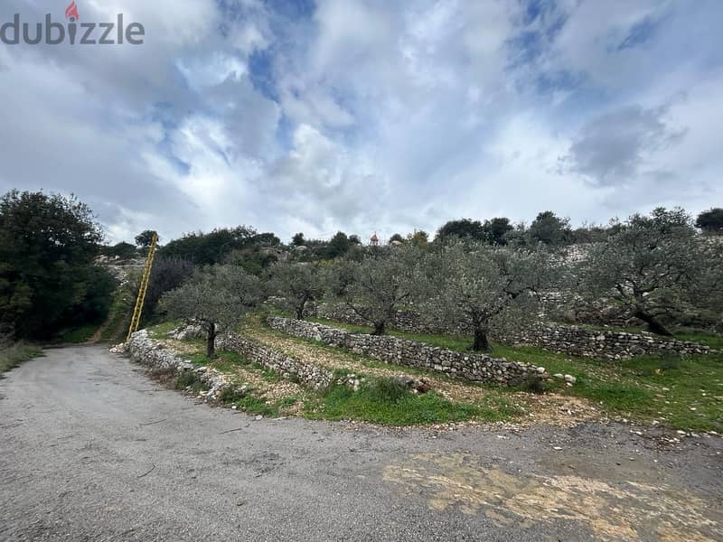 L144751,280 SQM Land for Sale In Batroun Chabtine Lands for Sale