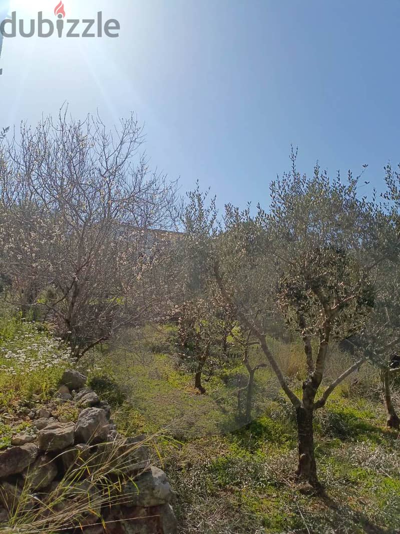5,860 sqm LAND for sale in BATROUN/البترون REFJK102427 Lands for