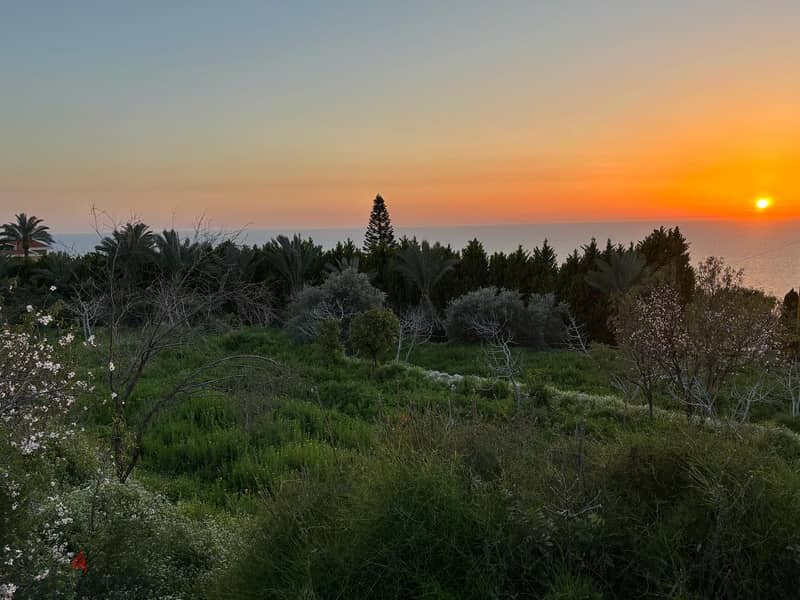 Land for sale in Berbara/ Amazing Seaview Lands for Sale 115805465