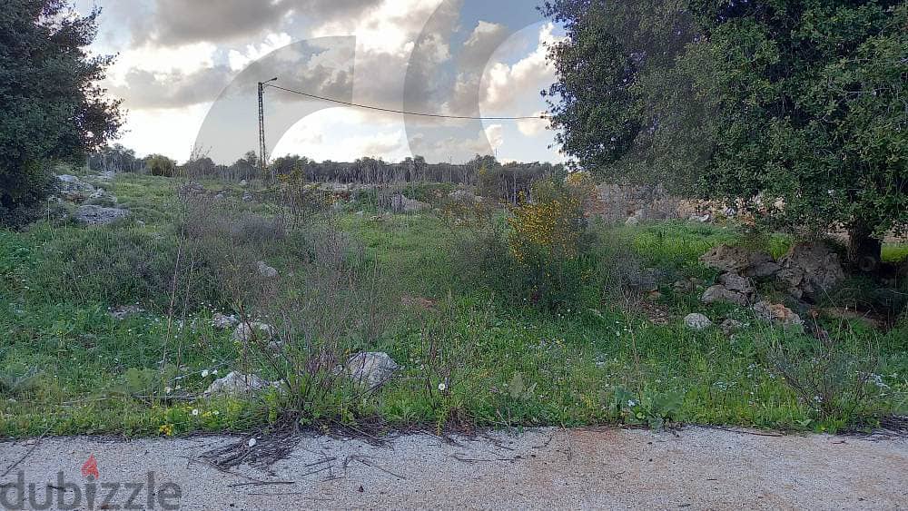 1700 sqm land in Bterram Al Koura/بطرام الكورة REFBR103556 Lands for