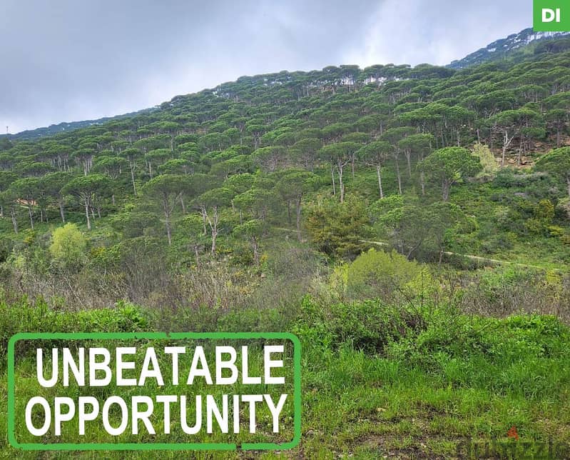 Land for Sale in Sniyeh Jezzine/ سنية جزين REFDI105714 Lands for