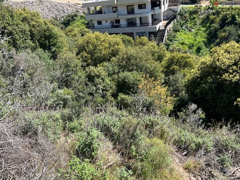sea view land in Eddeh Batroun Lands for Sale 115124156