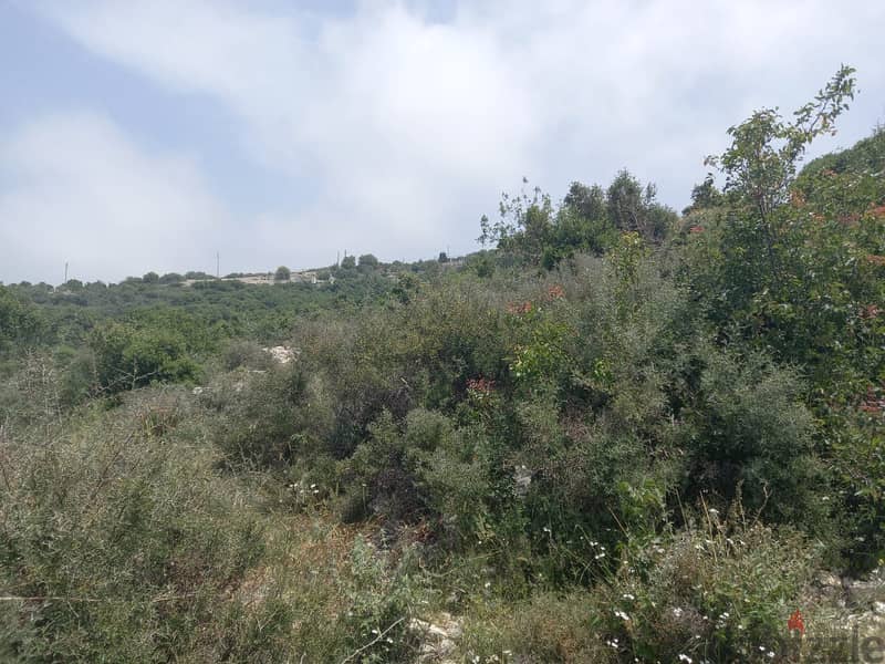 A 1320 m2 land having an open sea view for sale in Berbara Lands for