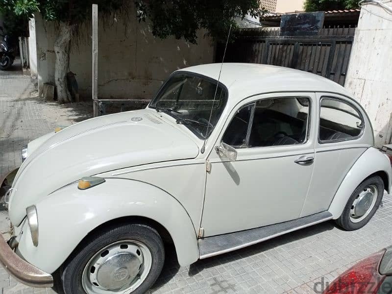 classic beetle Cars for Sale 115346057